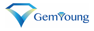 Gem-Young Insurance & Financial Planners - Logo 500