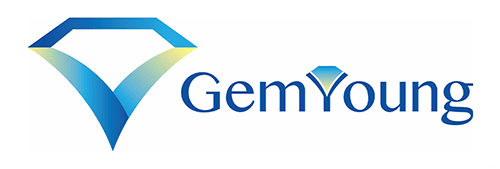 Gem-Young Insurance & Wealth Advisors